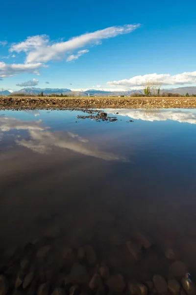 Reflection of sunny afternoon in the puddle