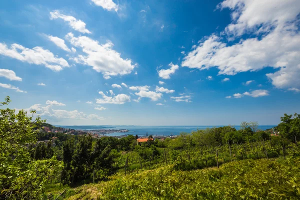 Zálivu trieste, Itálie — Stock fotografie