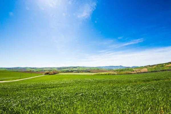 View of italian countryside — Stock Photo, Image