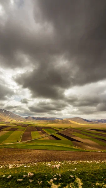 A view of the fields of Italy — Stock Photo, Image