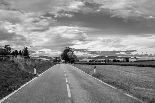 Дорога через поля — стоковое фото