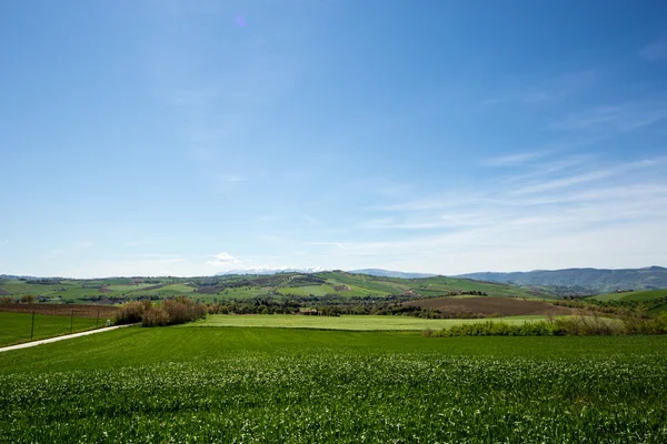 View of italian countryside — Stock Photo, Image