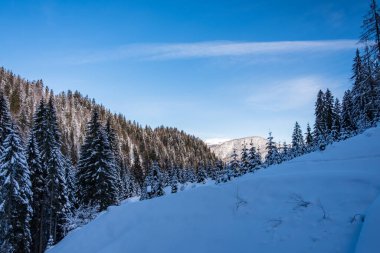 İtalyan Alplerinde Tarvisio 'nun zirveleri