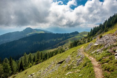 Yapraklar İtalya 'nın Osternig Dağı' ndaki Friuli-Venezia Giulia dağında başlıyor.
