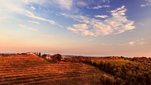 Zachód Słońca Pobliżu Opactwa Rosazzo Friuli Włochy Letni Dzień — Zdjęcie stockowe