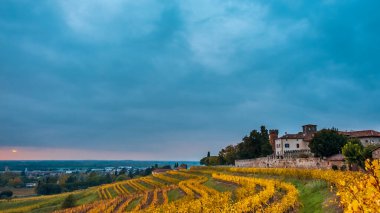 Güneş Friuli Venezia-Giulia üzüm bağlarından batıyor.