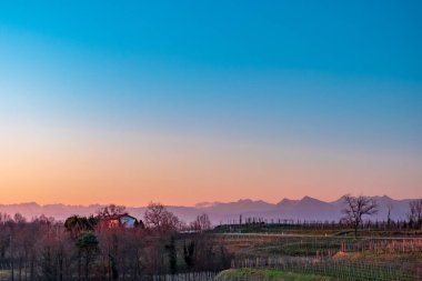 Güneş Friuli Venezia-Giulia üzüm bağlarından batıyor.