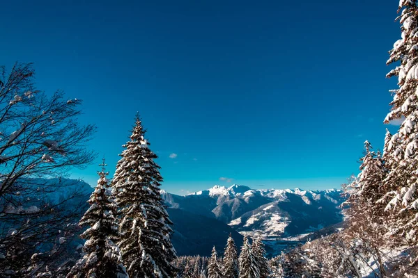 Karnické Alpy Velkém Sněžení Provincie Udine Region Friuli Venezia Giulia — Stock fotografie