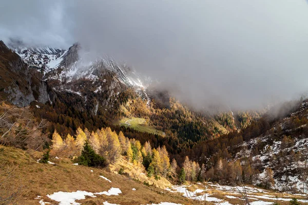 Outubro Trekking Nas Montanhas Forni Sopra Friuli Venezia Giulia — Fotografia de Stock