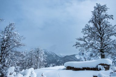 Julian büyük bir kar yağışından sonra Alp yapar. Udine ili, Friuli-Venezia Giulia bölgesi, İtalya