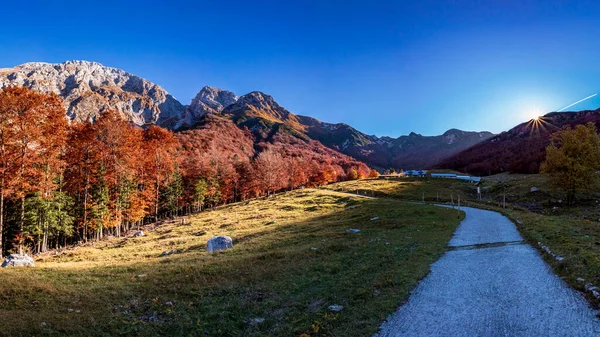 Őszi Nap Színes Lombozattal Val Resia Erdejében Friuli Venezia Giulia — Stock Fotó