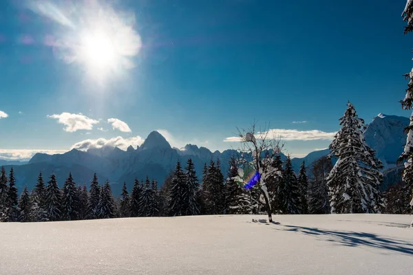 Alpy Karniczne Obfitych Opadach Śniegu Prowincja Udine Region Friuli Wenecja — Zdjęcie stockowe