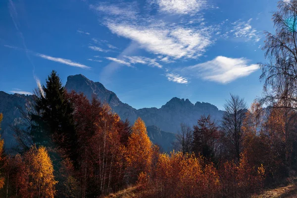 Dia Ensolarado Nos Alpes Cárnicos Durante Outono Colorido — Fotografia de Stock
