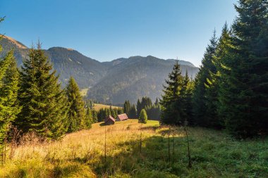 İtalya 'nın Friuli-Venezia Giulia Alplerinde güneşli bir Eylül günü
