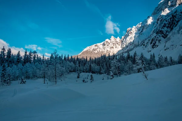 Strugova Tal Auf Dem Berg Mangart Für Ein Schönes Skivergnügen — Stockfoto