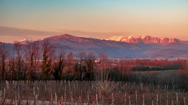 Slunce Zapadá Vinicích Friuli Venezia Giulia — Stock fotografie