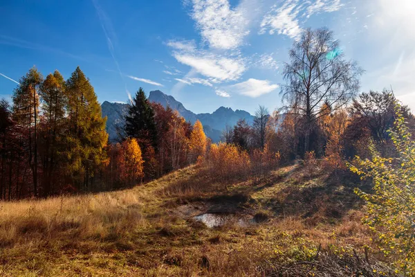 Солнечный День Карнизовых Альпах Яркой Осенью — стоковое фото