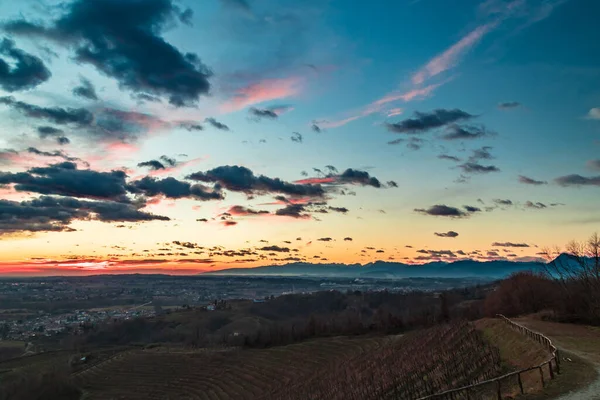 Pôr Sol Inverno Vinha Savorgnano Friuli Venezia Giulia Itália — Fotografia de Stock