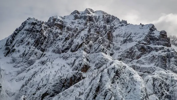 Julian Alps Obfitych Opadach Śniegu Prowincja Udine Region Friuli Wenecja — Zdjęcie stockowe