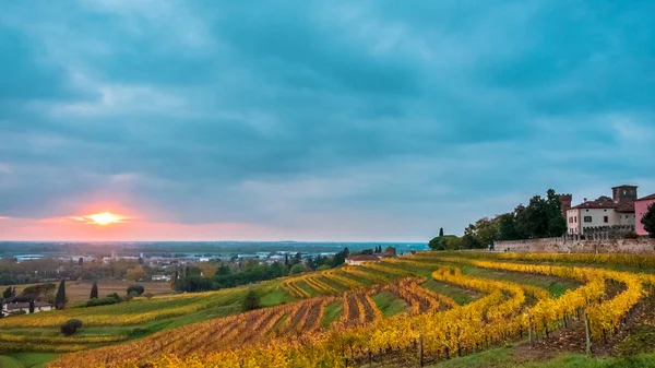 Sol Põe Nas Vinhas Friuli Venezia Giulia — Fotografia de Stock