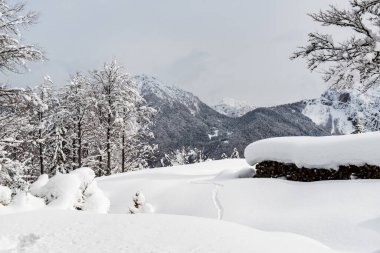 Julian büyük bir kar yağışından sonra Alp yapar. Udine ili, Friuli-Venezia Giulia bölgesi, İtalya