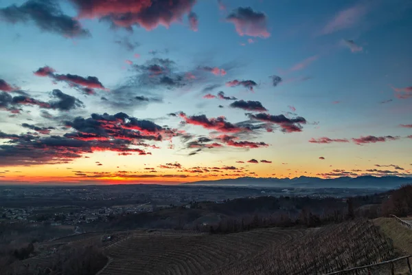 意大利弗留利尼亚朱利亚Savorgnano葡萄园冬季日落 — 图库照片