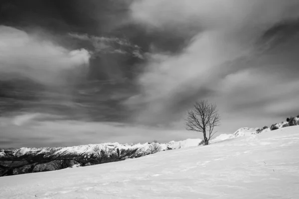 Top Van Berg Matajur Voor Een Prachtige Ski Ervaring Udine — Stockfoto