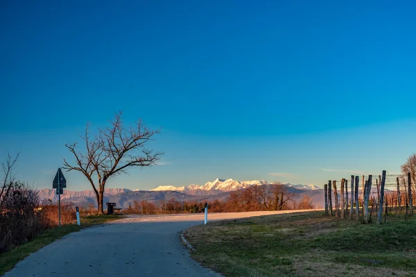 Solen Går Ner Vingårdarna Friuli Venezia Giulia — Stockfoto