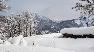 Julian büyük bir kar yağışından sonra Alp yapar. Udine ili, Friuli-Venezia Giulia bölgesi, İtalya