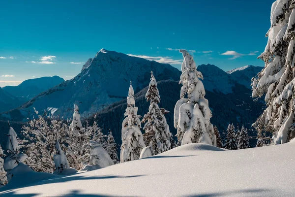 Karnische Alpen Nach Starkem Schneefall Provinz Udine Friaul Julisch Venetien — Stockfoto