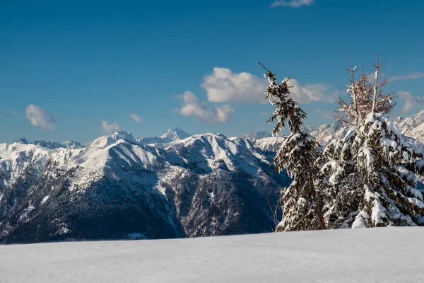 Mount Zoncolan Carnic Alps Big Snowfall Udine Province Friuli Venezia — Stock Photo, Image