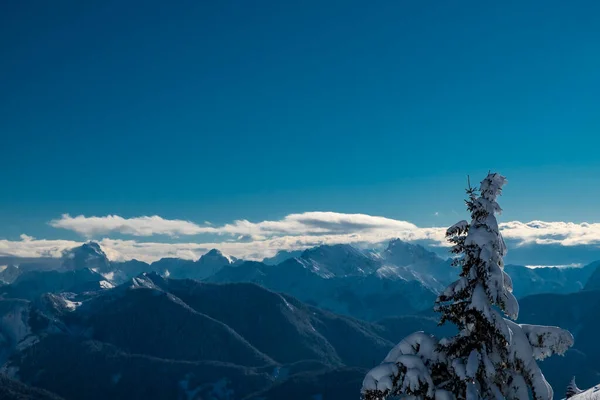 Karnische Alpen Nach Starkem Schneefall Provinz Udine Friaul Julisch Venetien — Stockfoto