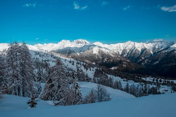 Ein Blick Auf Den Coglians Den Höchsten Berg Friaul Julisch — Stockfoto