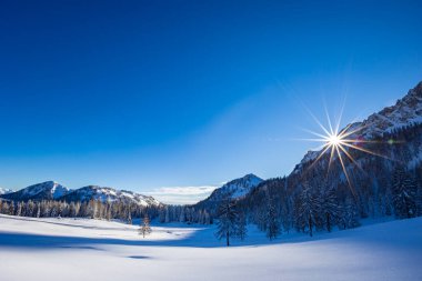Büyük bir kar yağışı sonrası alaycı alpler. Udine ili, Friuli-Venezia Giulia bölgesi, İtalya