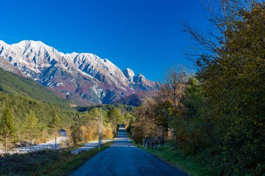 İtalya 'da Val di Resia, Friuli-Venezia Giulia ormanlarında renkli yapraklarla dolu bir sonbahar günü.