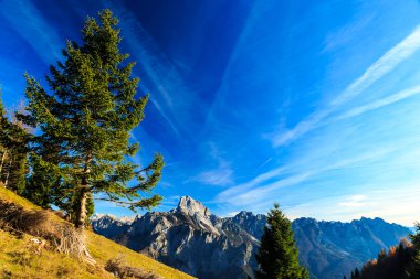 Renkli bir sonbahar döneminde, kırsal alplerde güneşli bir gün.