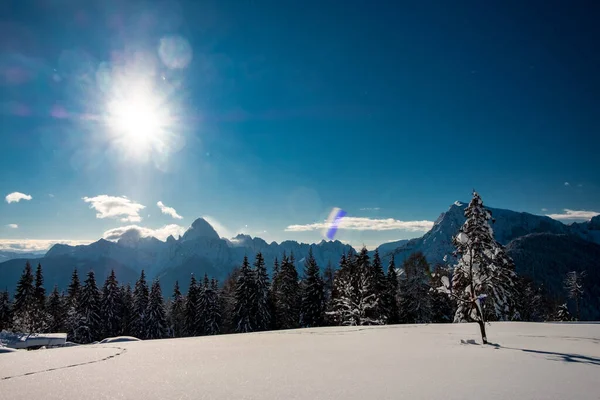 Karniska Alper Efter Ett Stort Snöfall Udine Provinsen Regionen Friuli — Stockfoto