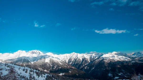 Olhar Para Monte Coglianos Montanha Mais Alta Friuli Venezia Giulia — Fotografia de Stock