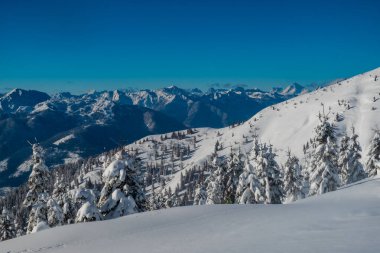 Büyük bir kar yağışı sonrası alaycı alpler. Udine ili, Friuli-Venezia Giulia bölgesi, İtalya