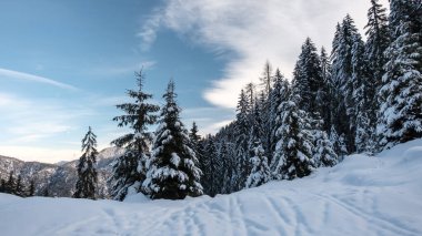 İtalyan Alplerinde Tarvisio 'nun zirveleri