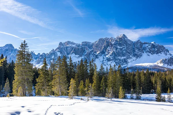 Dia Ensolarado Dolomiti Sesto Trentino Alto Adige Itália — Fotografia de Stock