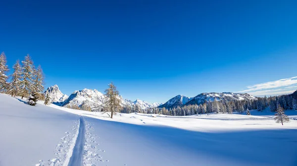大きな雪の後にカルニックアルプス ウディネ州 フリウリ ヴェネツィア ジュリア州 イタリア — ストック写真