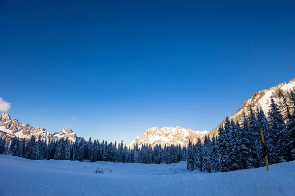 Karniska Alper Efter Ett Stort Snöfall Udine Provinsen Regionen Friuli — Stockfoto