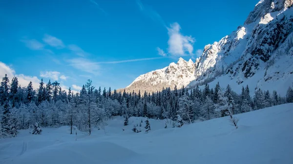 Vale Strugova Monte Mangart Para Uma Bela Experiência Esqui Província — Fotografia de Stock