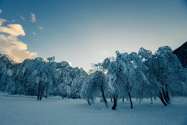 Frosty Winter Zonsondergang Bij Meren Van Fusine Friuli Venezia Giulia — Stockfoto