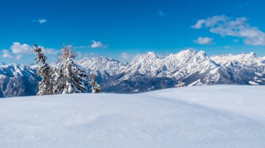 Zoncolan Dağı 'nda, büyük bir kar yağışı sonrası Carnic Alpleri. Udine ili, Friuli-Venezia Giulia bölgesi, İtalya
