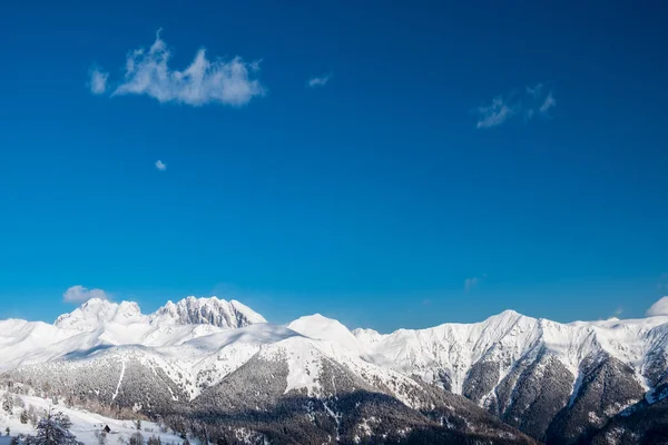 ゾンコラン山からは フリウリ ヴェネツィア ジュリア州で最も高い山であるコグリアン山を眺めることができます カルニックアルプス ウディネ州 フリウリ ヴェネツィア ジュリア州 イタリア — ストック写真