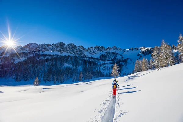 Büyük Bir Kar Yağışı Sonrası Alaycı Alpler Udine Ili Friuli — Stok fotoğraf