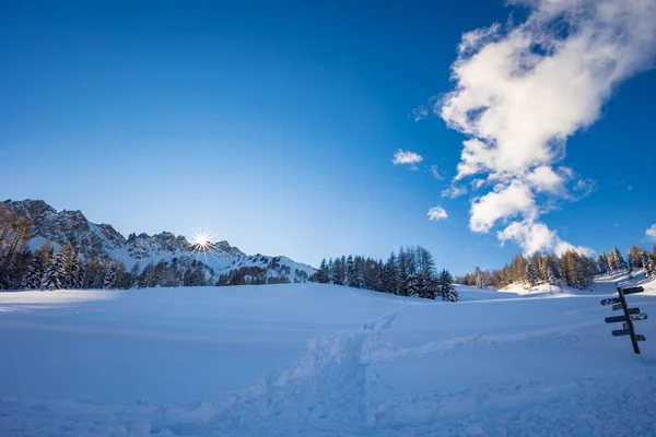大雪过后 狂欢作乐的阿尔卑斯山 乌迪恩省 弗留利 基里亚朱利亚地区 意大利 — 图库照片