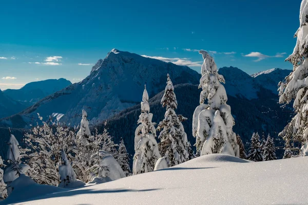 Alpi Carniche Dopo Una Grande Nevicata Provincia Udine Regione Friuli — Foto Stock